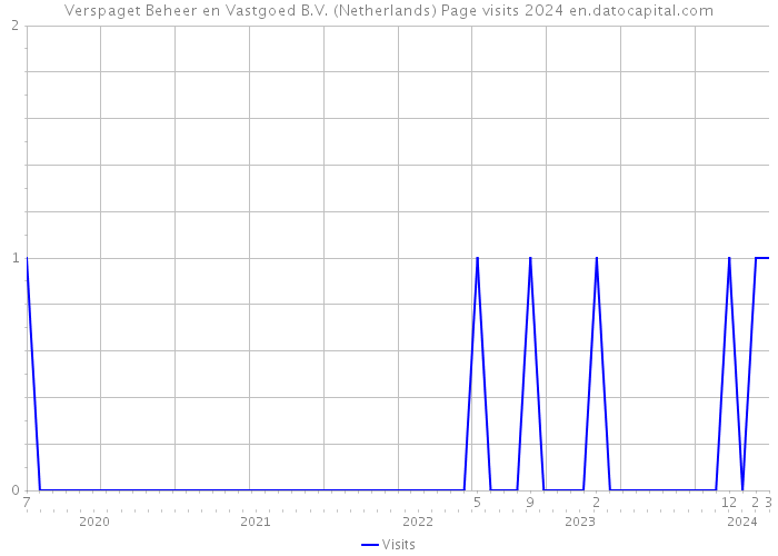 Verspaget Beheer en Vastgoed B.V. (Netherlands) Page visits 2024 