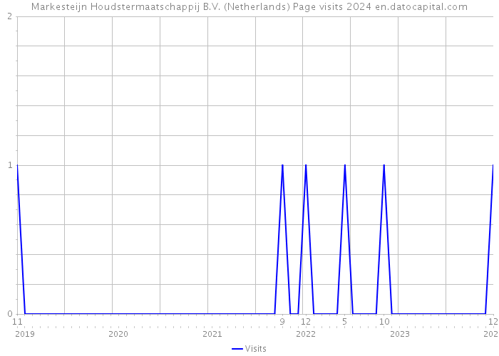 Markesteijn Houdstermaatschappij B.V. (Netherlands) Page visits 2024 