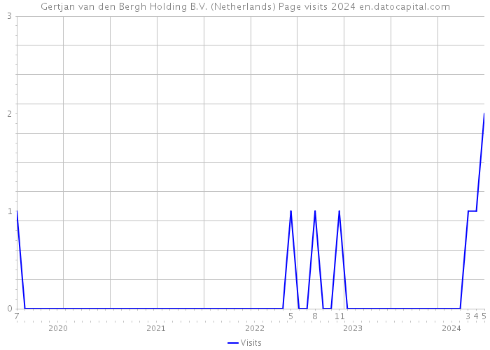 Gertjan van den Bergh Holding B.V. (Netherlands) Page visits 2024 