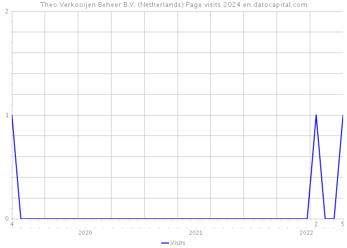 Theo Verkooijen Beheer B.V. (Netherlands) Page visits 2024 