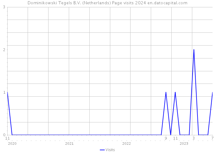 Dominikowski Tegels B.V. (Netherlands) Page visits 2024 