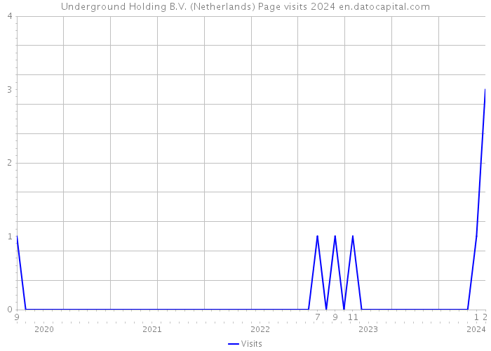 Underground Holding B.V. (Netherlands) Page visits 2024 