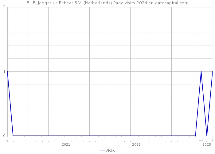 E.J.E. Jongerius Beheer B.V. (Netherlands) Page visits 2024 