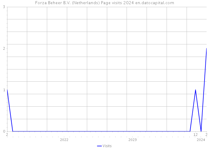 Forza Beheer B.V. (Netherlands) Page visits 2024 