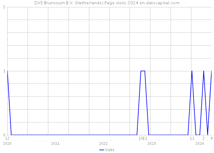 DVS Brunssum B.V. (Netherlands) Page visits 2024 