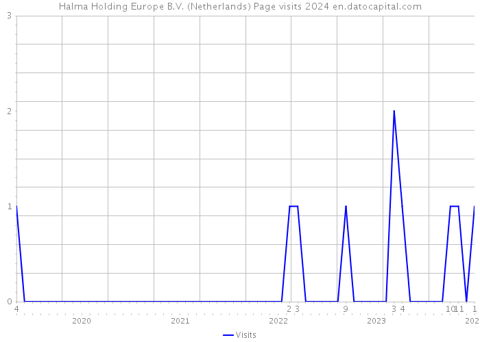Halma Holding Europe B.V. (Netherlands) Page visits 2024 