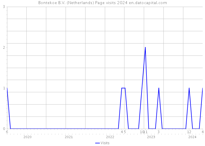 Bontekoe B.V. (Netherlands) Page visits 2024 