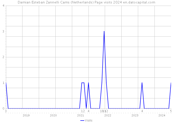 Damian Esteban Zannelli Cams (Netherlands) Page visits 2024 
