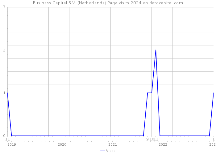 Business Capital B.V. (Netherlands) Page visits 2024 