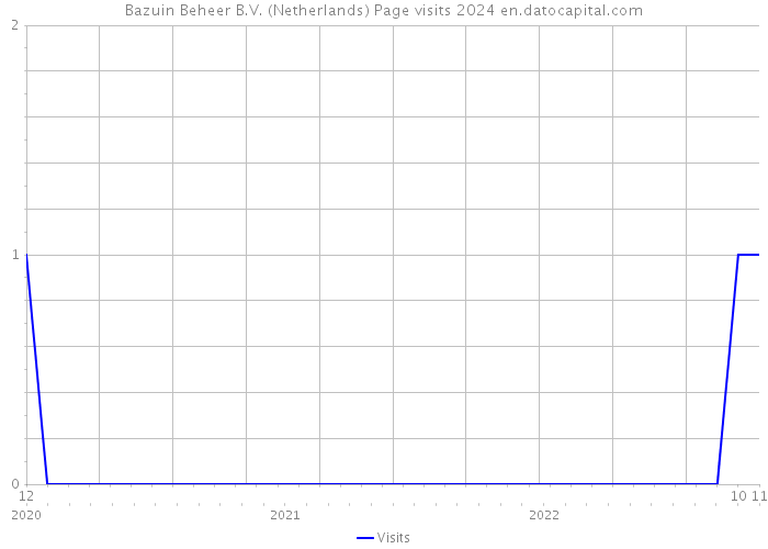 Bazuin Beheer B.V. (Netherlands) Page visits 2024 