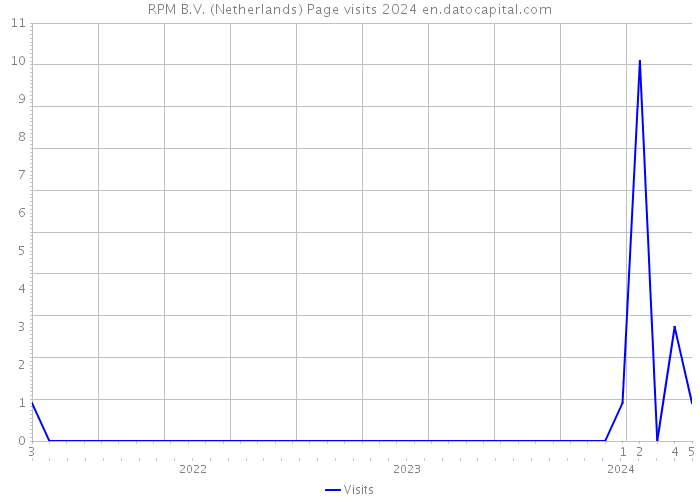 RPM B.V. (Netherlands) Page visits 2024 