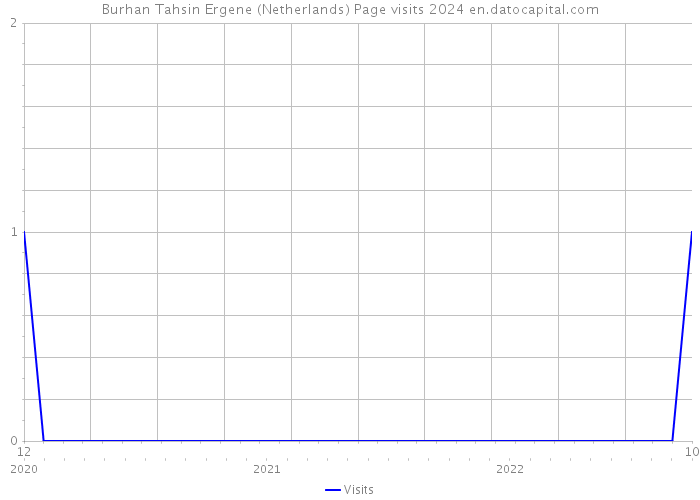 Burhan Tahsin Ergene (Netherlands) Page visits 2024 