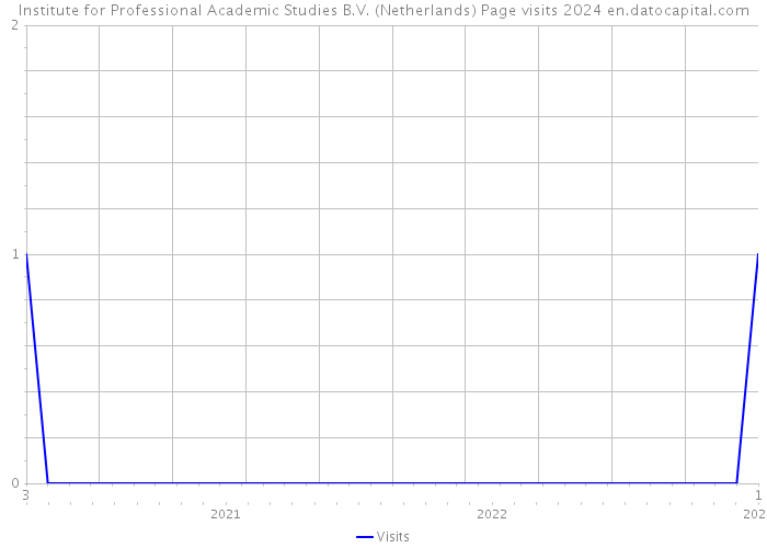 Institute for Professional Academic Studies B.V. (Netherlands) Page visits 2024 