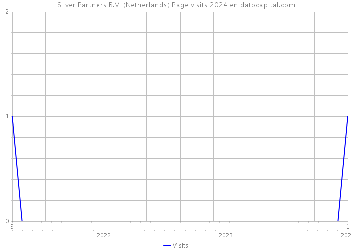 Silver Partners B.V. (Netherlands) Page visits 2024 
