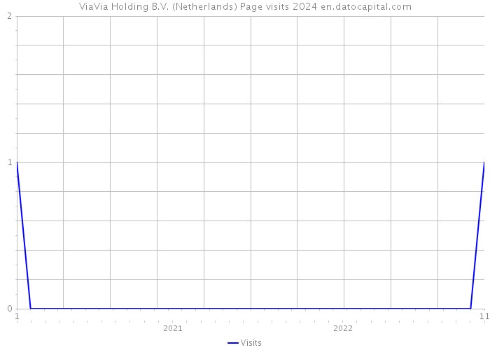 ViaVia Holding B.V. (Netherlands) Page visits 2024 