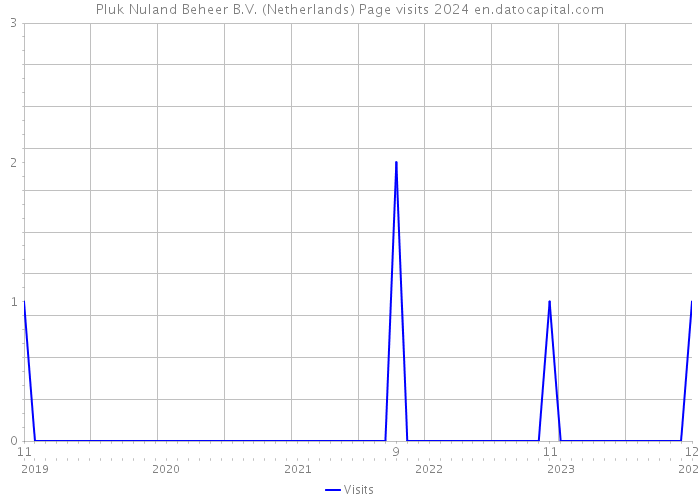 Pluk Nuland Beheer B.V. (Netherlands) Page visits 2024 