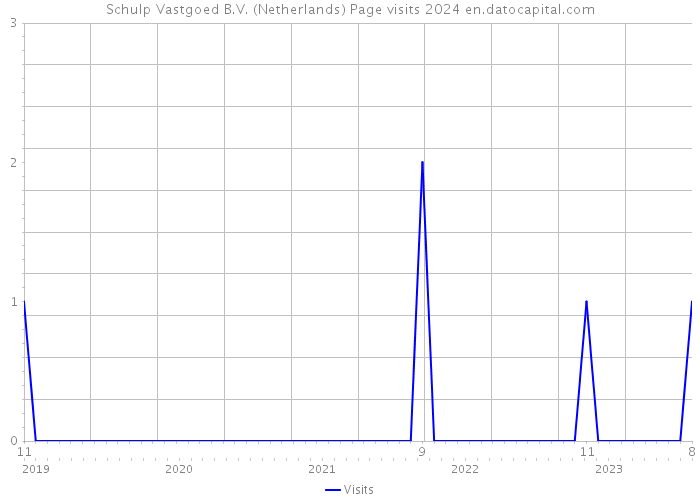 Schulp Vastgoed B.V. (Netherlands) Page visits 2024 