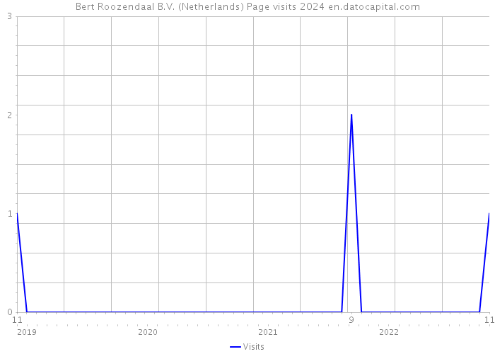 Bert Roozendaal B.V. (Netherlands) Page visits 2024 