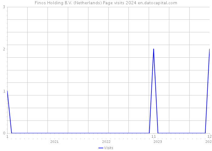 Finos Holding B.V. (Netherlands) Page visits 2024 