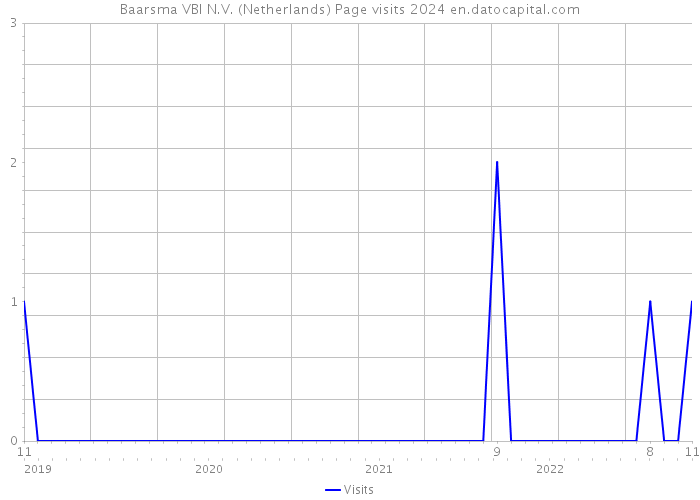 Baarsma VBI N.V. (Netherlands) Page visits 2024 