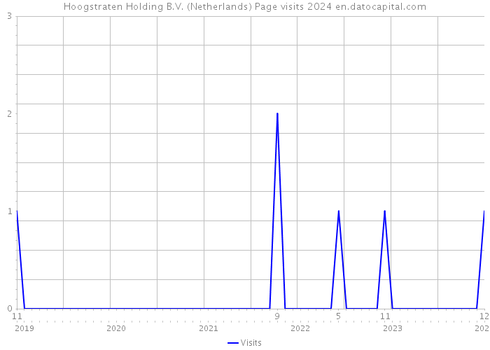 Hoogstraten Holding B.V. (Netherlands) Page visits 2024 