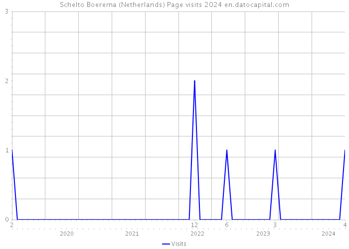 Schelto Boerema (Netherlands) Page visits 2024 