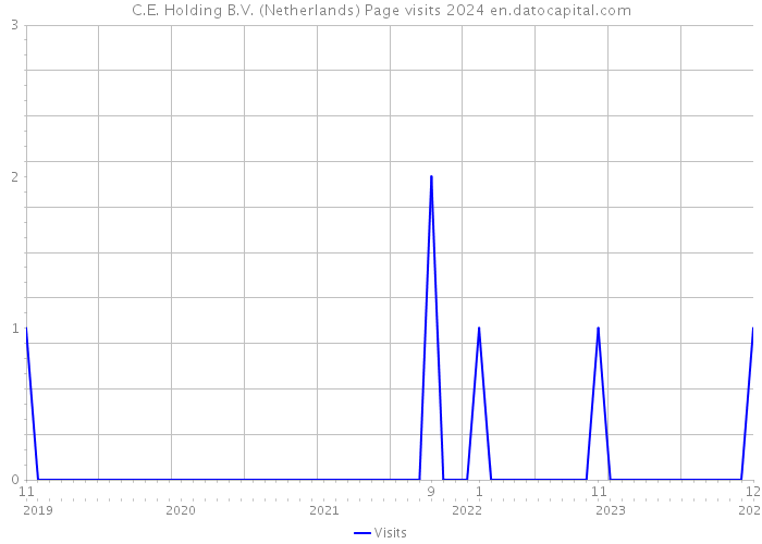 C.E. Holding B.V. (Netherlands) Page visits 2024 