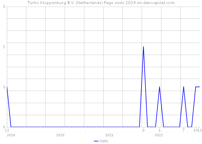 Tycho Kloppenburg B.V. (Netherlands) Page visits 2024 