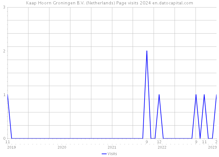Kaap Hoorn Groningen B.V. (Netherlands) Page visits 2024 