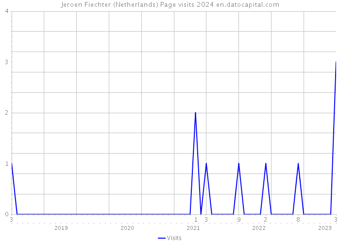 Jeroen Fiechter (Netherlands) Page visits 2024 