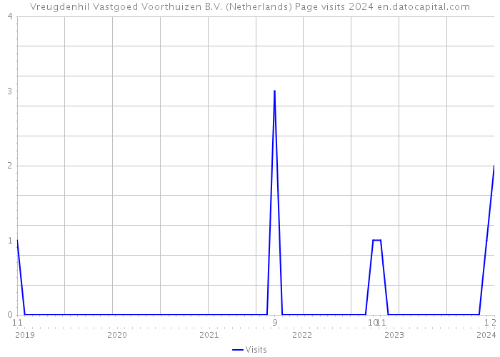 Vreugdenhil Vastgoed Voorthuizen B.V. (Netherlands) Page visits 2024 