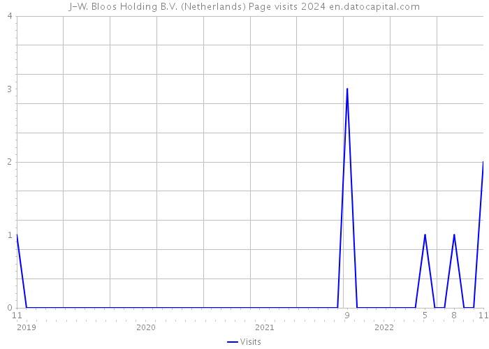 J-W. Bloos Holding B.V. (Netherlands) Page visits 2024 