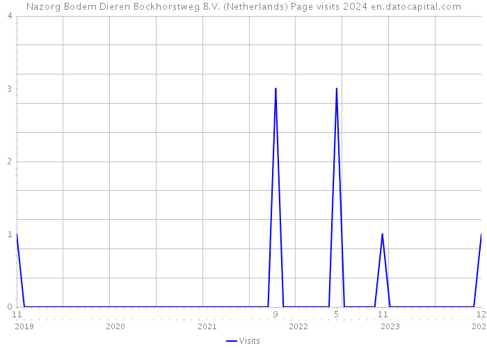 Nazorg Bodem Dieren Bockhorstweg B.V. (Netherlands) Page visits 2024 