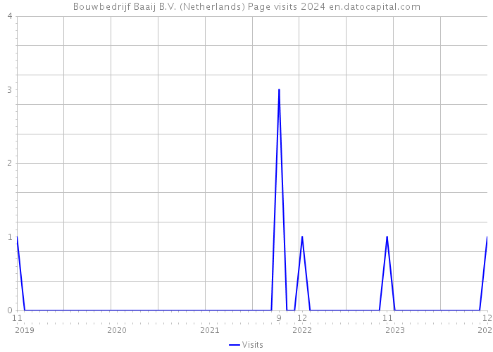 Bouwbedrijf Baaij B.V. (Netherlands) Page visits 2024 