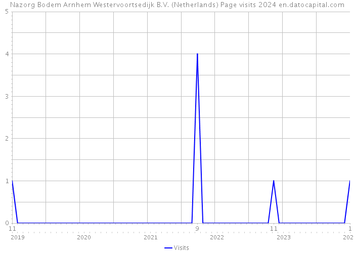 Nazorg Bodem Arnhem Westervoortsedijk B.V. (Netherlands) Page visits 2024 