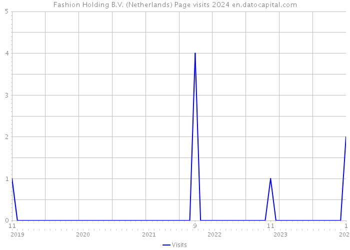 Fashion Holding B.V. (Netherlands) Page visits 2024 