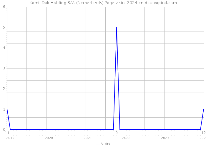 Kamil Dak Holding B.V. (Netherlands) Page visits 2024 