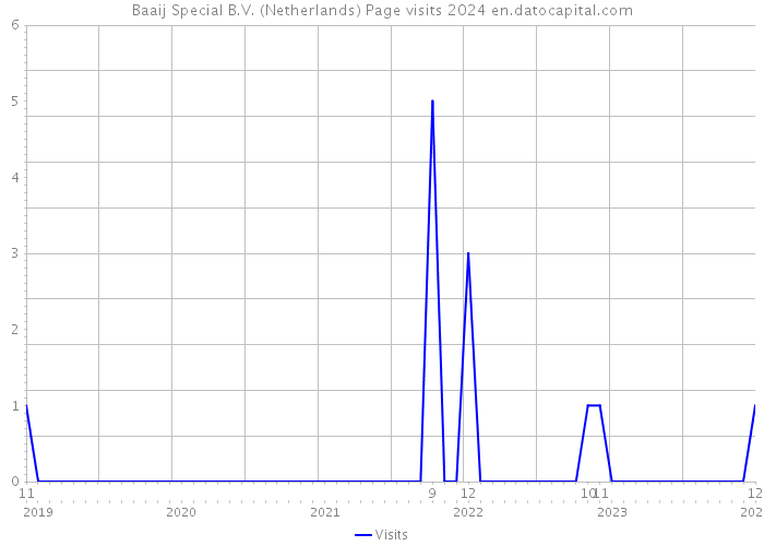 Baaij Special B.V. (Netherlands) Page visits 2024 