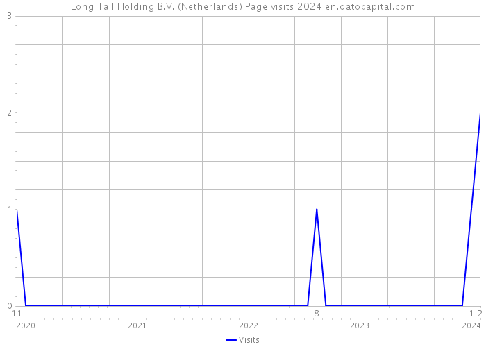 Long Tail Holding B.V. (Netherlands) Page visits 2024 