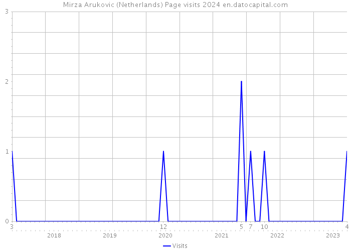 Mirza Arukovic (Netherlands) Page visits 2024 