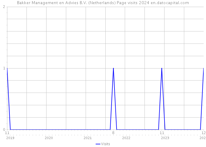 Bakker Management en Advies B.V. (Netherlands) Page visits 2024 