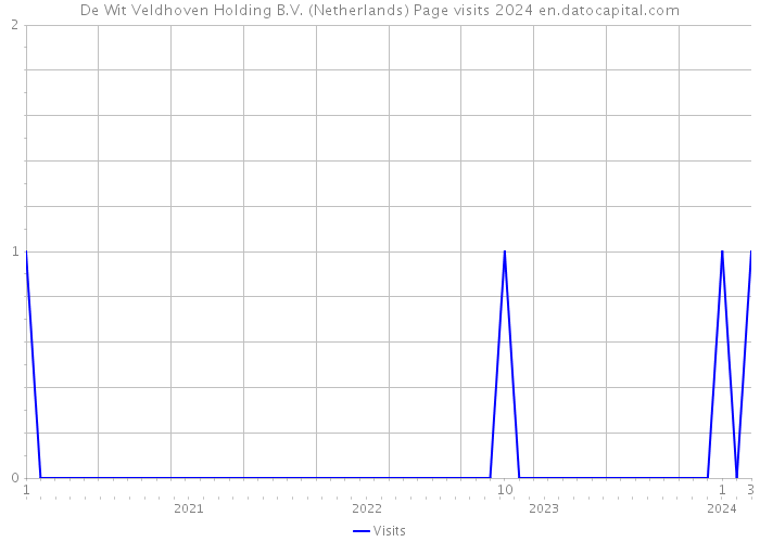 De Wit Veldhoven Holding B.V. (Netherlands) Page visits 2024 