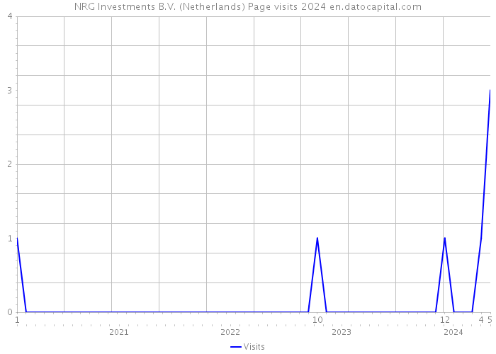 NRG Investments B.V. (Netherlands) Page visits 2024 