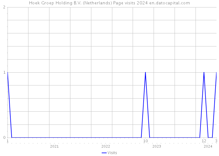Hoek Groep Holding B.V. (Netherlands) Page visits 2024 