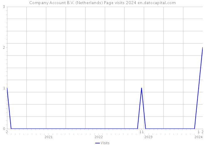 Company Account B.V. (Netherlands) Page visits 2024 