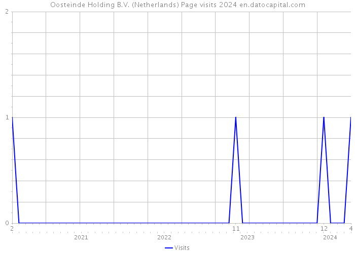 Oosteinde Holding B.V. (Netherlands) Page visits 2024 