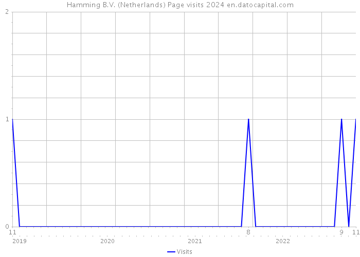 Hamming B.V. (Netherlands) Page visits 2024 