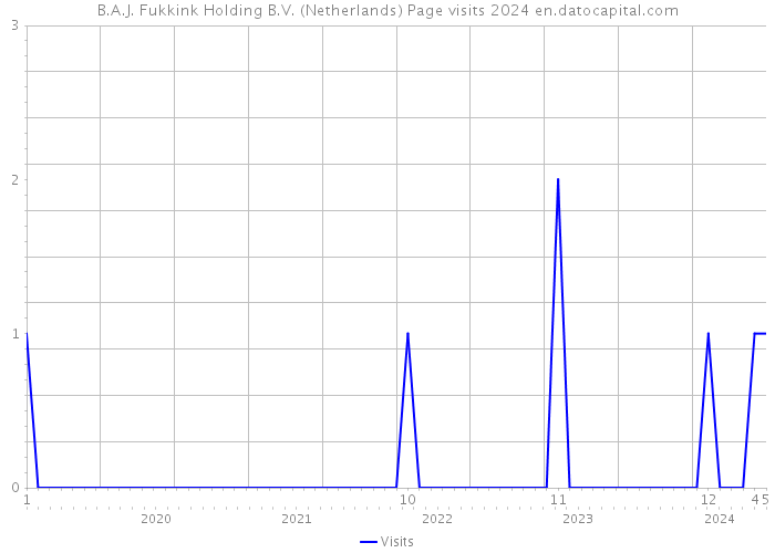 B.A.J. Fukkink Holding B.V. (Netherlands) Page visits 2024 