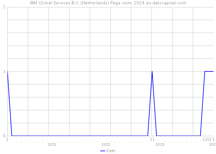 IBM Global Services B.V. (Netherlands) Page visits 2024 