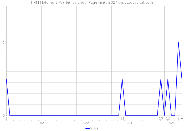HRM Holding B.V. (Netherlands) Page visits 2024 